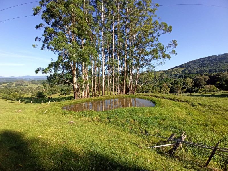 Sítio com 3 quartos, 2 banheiros e 110m² à venda no bairro Km 4, Taquara