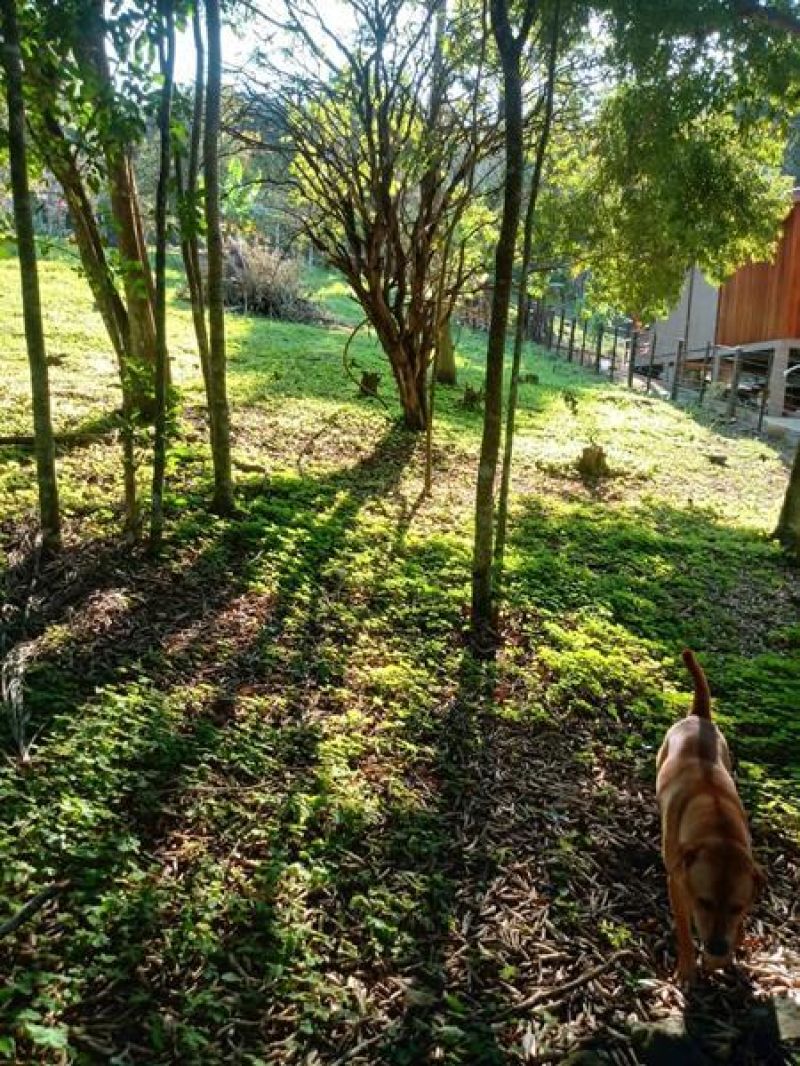 Terreno à venda no bairro Km 4, Taquara