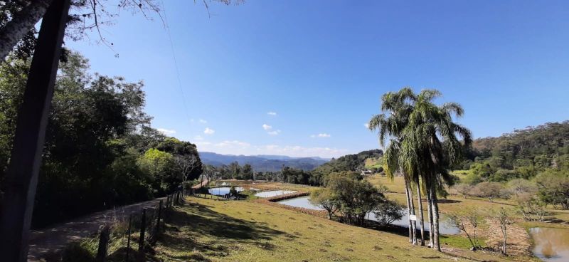 Sítio à venda no bairro Batingueira, Taquara