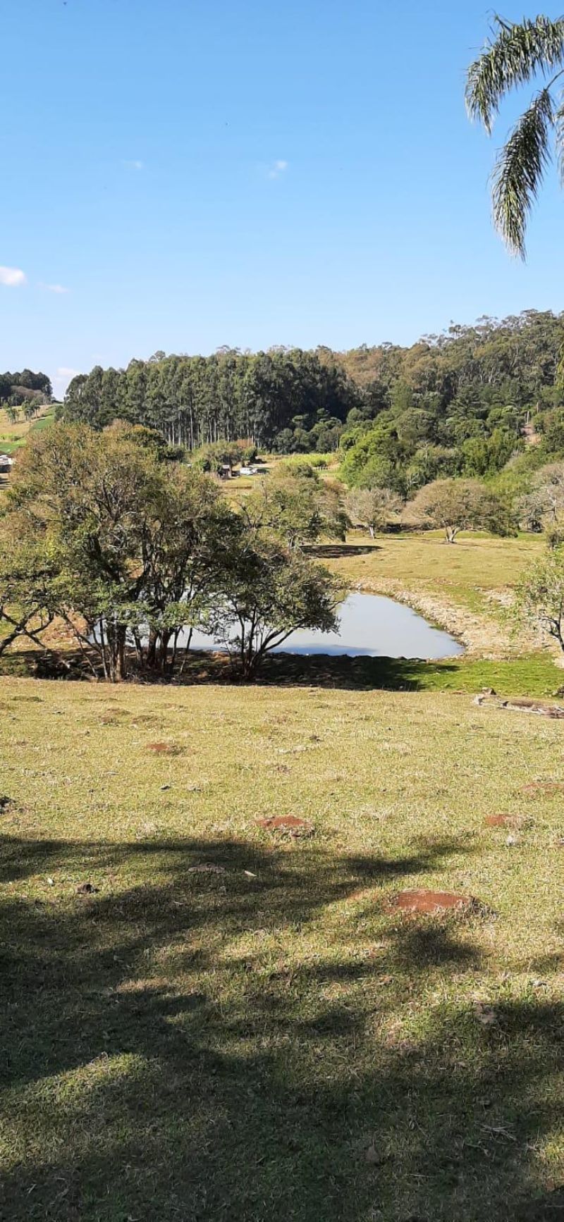 Sítio à venda no bairro Batingueira, Taquara