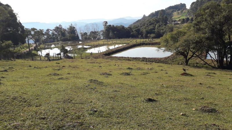 Sítio à venda no bairro Batingueira, Taquara