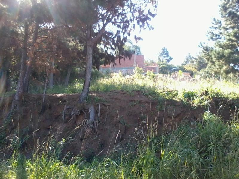 Terreno à venda no bairro Morro da Cruz, Taquara