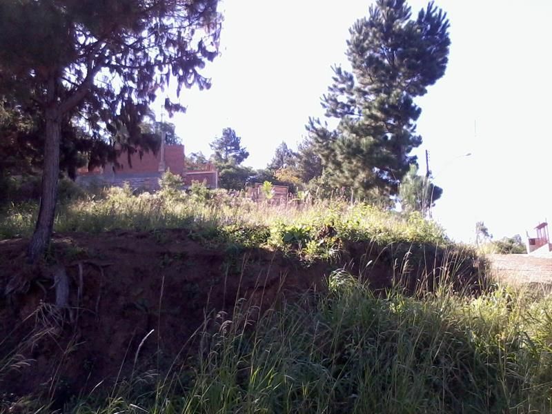 Terreno à venda no bairro Morro da Cruz, Taquara