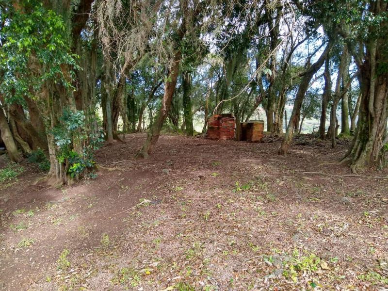 Sítio com 2 quartos, 2 banheiros e 90m² à venda no bairro Linha Gonzaga, Taquara