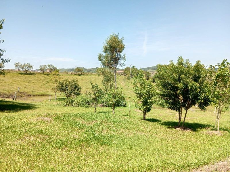Sítio com 4 quartos, 2 banheiros e 228m² à venda no bairro Entrepelado (Distrito), Taquara