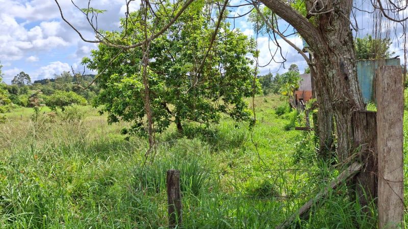 Terreno à venda no bairro Padre Tome, Taquara