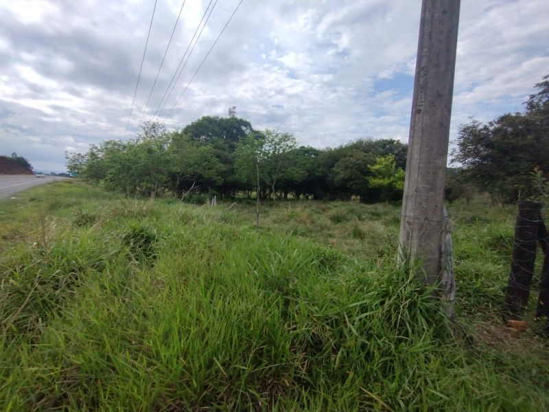 Terreno à venda no bairro Padre Tome, Taquara