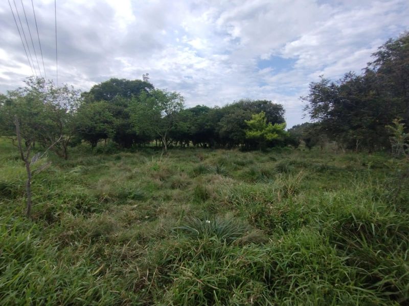 Terreno à venda no bairro Padre Tome, Taquara