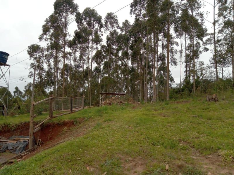 Sítio com 3 quartos, 1 banheiro e 80m² à venda no bairro Padre Tome, Taquara