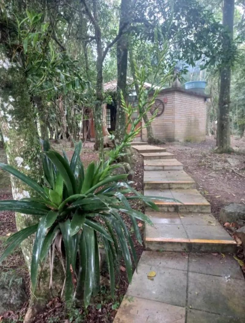 Sítio com 2 quartos e 1 banheiro à venda no bairro Santa Cristina do Pinhal, Taquara