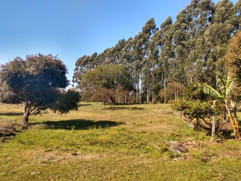 Sítio com 2 quartos, 2 banheiros e 132m² à venda no bairro Santa Cristina do Pinhal, Taquara