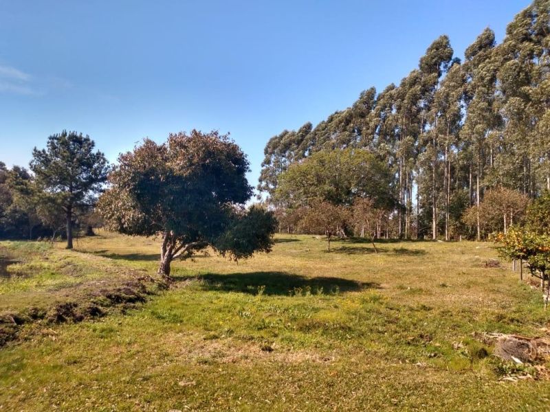 Sítio com 2 quartos, 2 banheiros e 132m² à venda no bairro Santa Cristina do Pinhal, Taquara