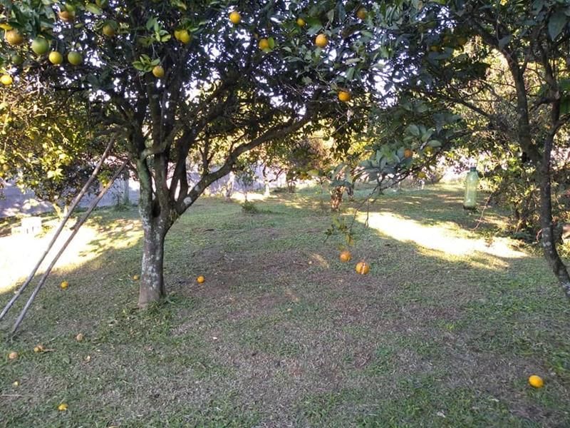 Sítio com 2 quartos, 2 banheiros e 75m² à venda no bairro Santa Cristina do Pinhal, Taquara