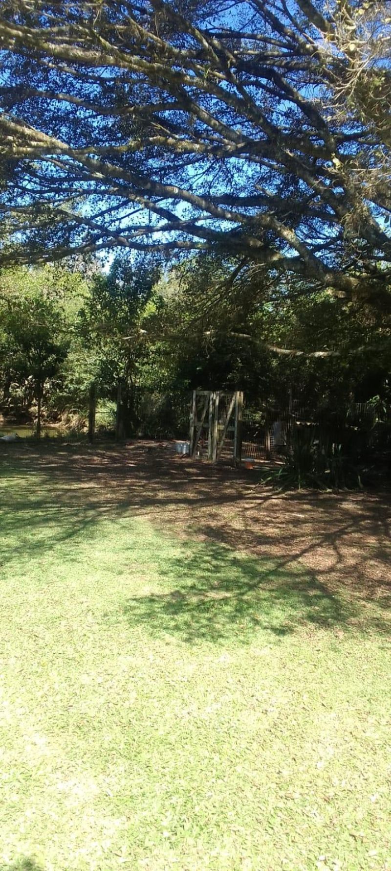 Sítio com 3 quartos, 2 banheiros e 150m² à venda no bairro Vila Teresa, Taquara
