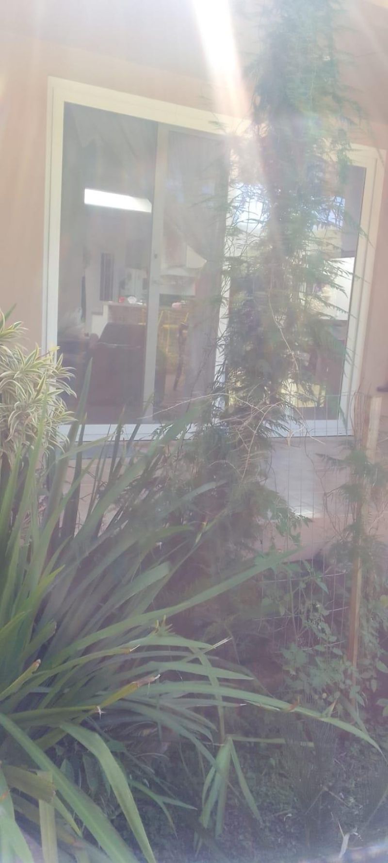 Sítio com 3 quartos, 2 banheiros e 150m² à venda no bairro Vila Teresa, Taquara