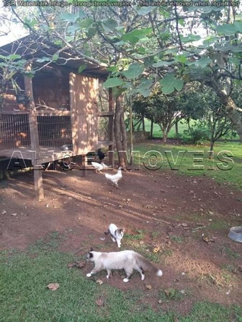 Sítio com 4 quartos, 2 banheiros e 170m² à venda no bairro Vila Teresa, Taquara