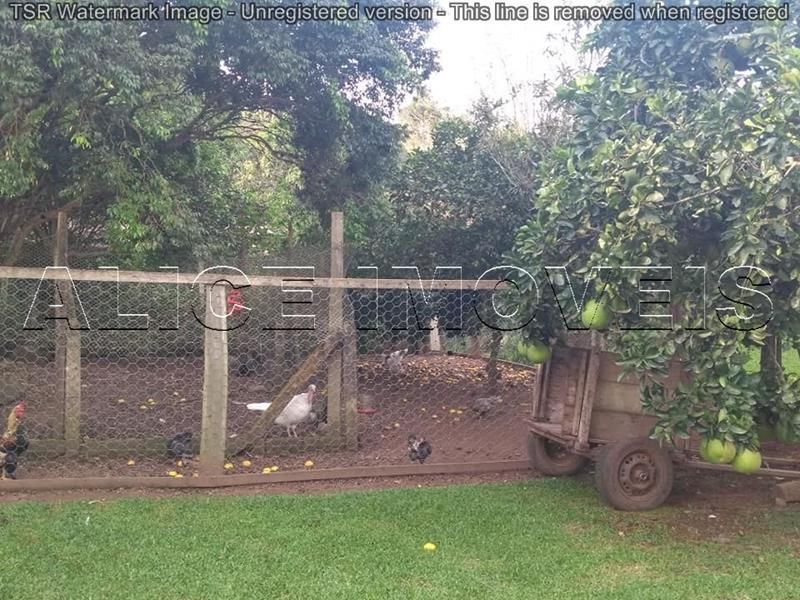 Sítio com 4 quartos, 2 banheiros e 170m² à venda no bairro Vila Teresa, Taquara