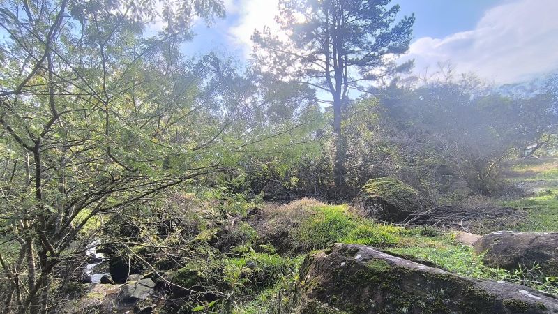 Sítio com 3 quartos e 1 banheiro à venda no bairro Padilha, Taquara