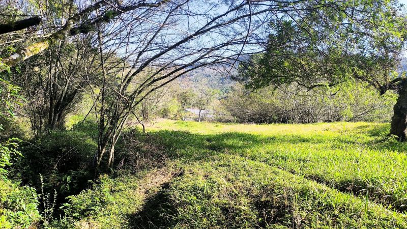 Sítio com 3 quartos e 1 banheiro à venda no bairro Padilha, Taquara