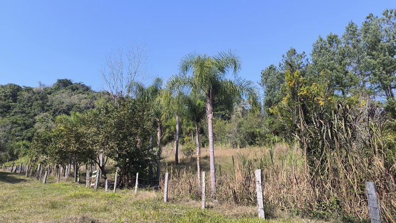Sítio com 3 quartos e 1 banheiro à venda no bairro Padilha, Taquara