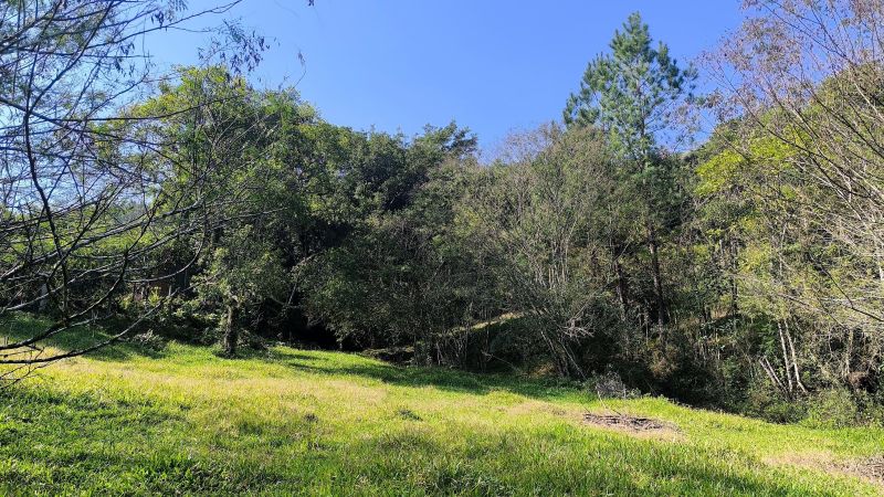 Sítio com 3 quartos e 1 banheiro à venda no bairro Padilha, Taquara