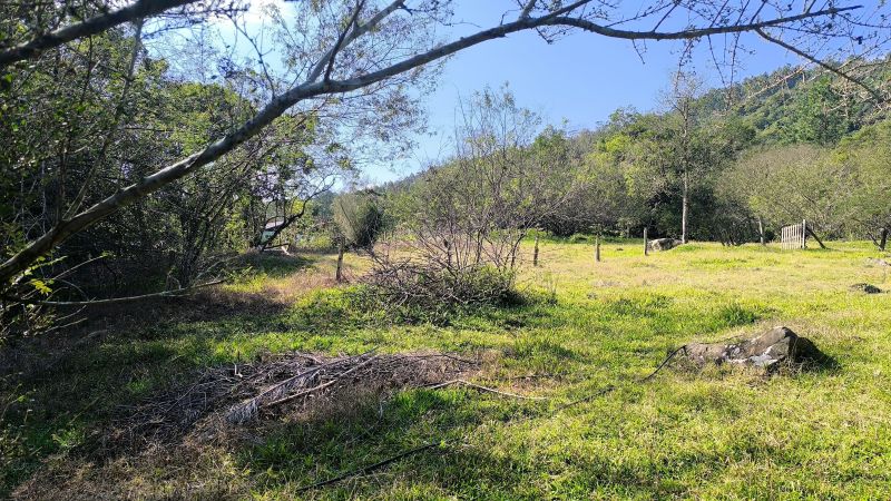 Sítio com 3 quartos e 1 banheiro à venda no bairro Padilha, Taquara