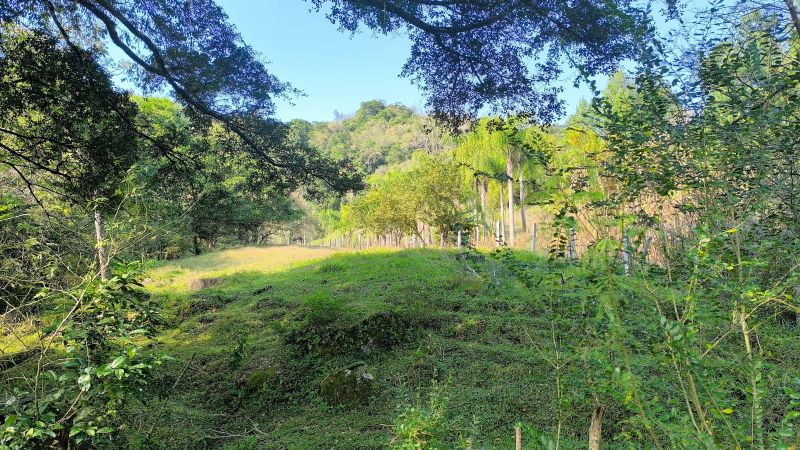 Sítio com 3 quartos e 1 banheiro à venda no bairro Padilha, Taquara