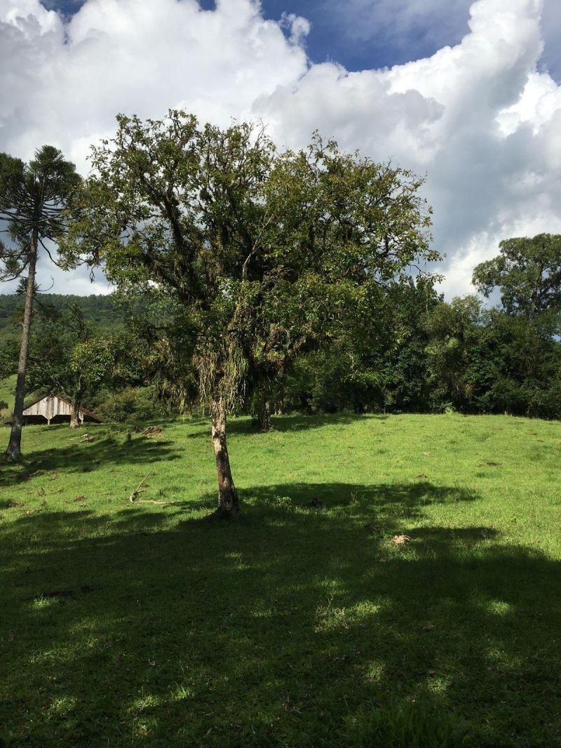 Sítio à venda no bairro Padilha, Taquara