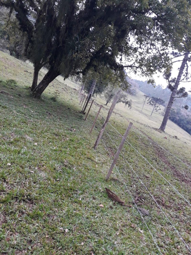 Sítio à venda no bairro Padilha, Taquara