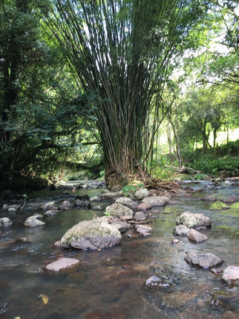 Sítio à venda no bairro Padilha, Taquara
