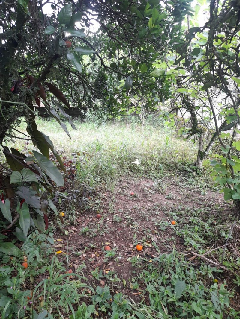 Sítio à venda no bairro Padilha, Taquara
