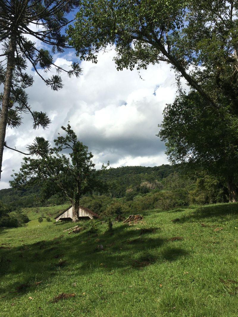 Sítio à venda no bairro Padilha, Taquara