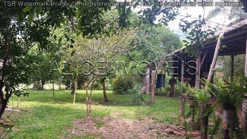 Sítio com 3 quartos, 2 banheiros e 90m² à venda no bairro Padilha, Taquara