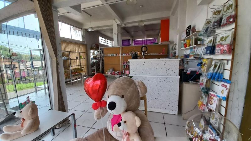 Prédio com 3 quartos e 1 banheiro à venda no bairro Laranjeiras, Parobe