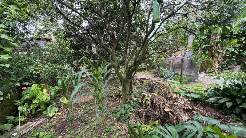 Casa com 3 quartos, 1 banheiro e 151m² à venda no bairro Empresa, Taquara