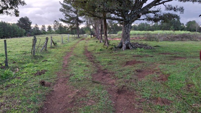 Sítio à venda no bairro Fazenda Fialho, Taquara