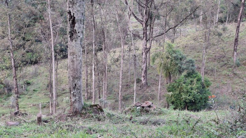 Sítio à venda no bairro Fazenda Fialho, Taquara