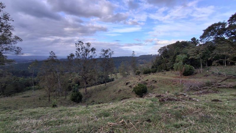 Sítio à venda no bairro Fazenda Fialho, Taquara