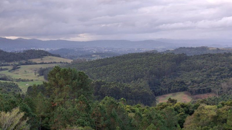 Sítio à venda no bairro Fazenda Fialho, Taquara