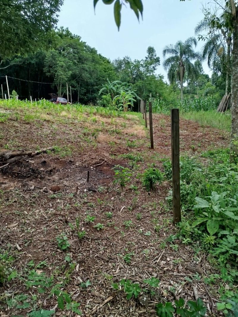 Sítio à venda no bairro Fazenda Fialho, Taquara