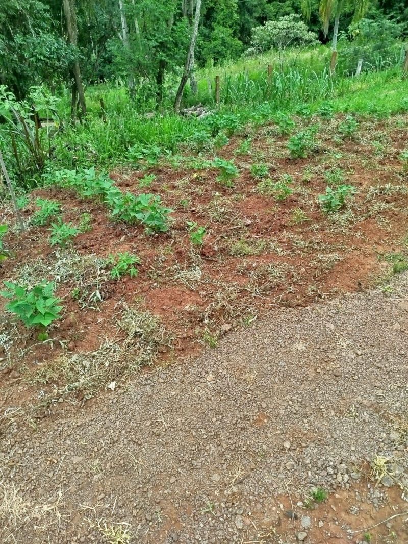 Sítio à venda no bairro Fazenda Fialho, Taquara