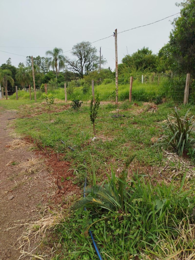 Sítio à venda no bairro Fazenda Fialho, Taquara