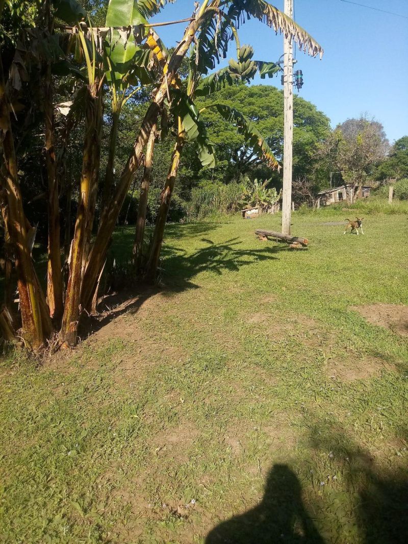 Sítio com 3 quartos, 1 banheiro e 140m² à venda no bairro Fazenda Fialho, Taquara