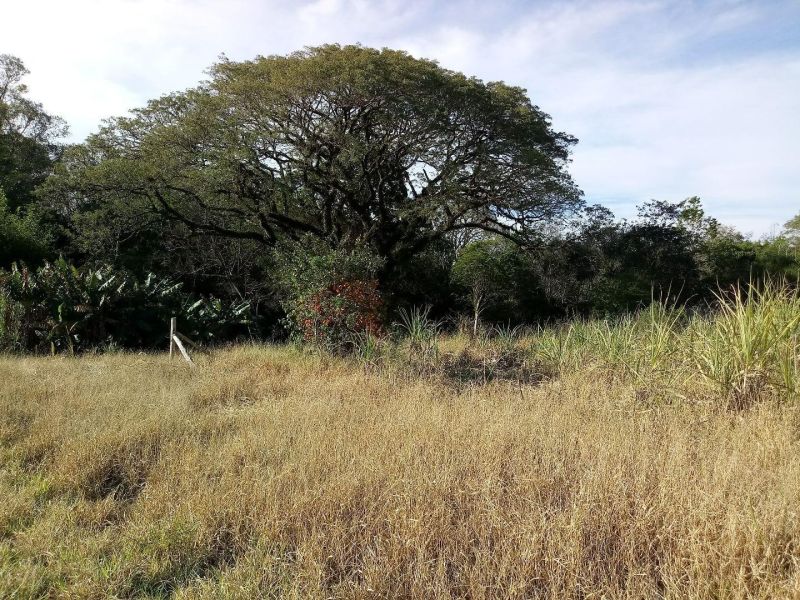 Sítio com 3 quartos, 1 banheiro e 140m² à venda no bairro Fazenda Fialho, Taquara