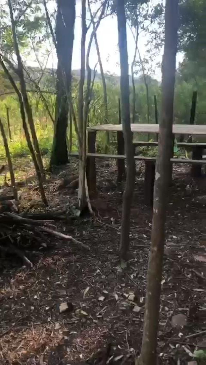 Sítio à venda no bairro Fazenda Fialho, Taquara
