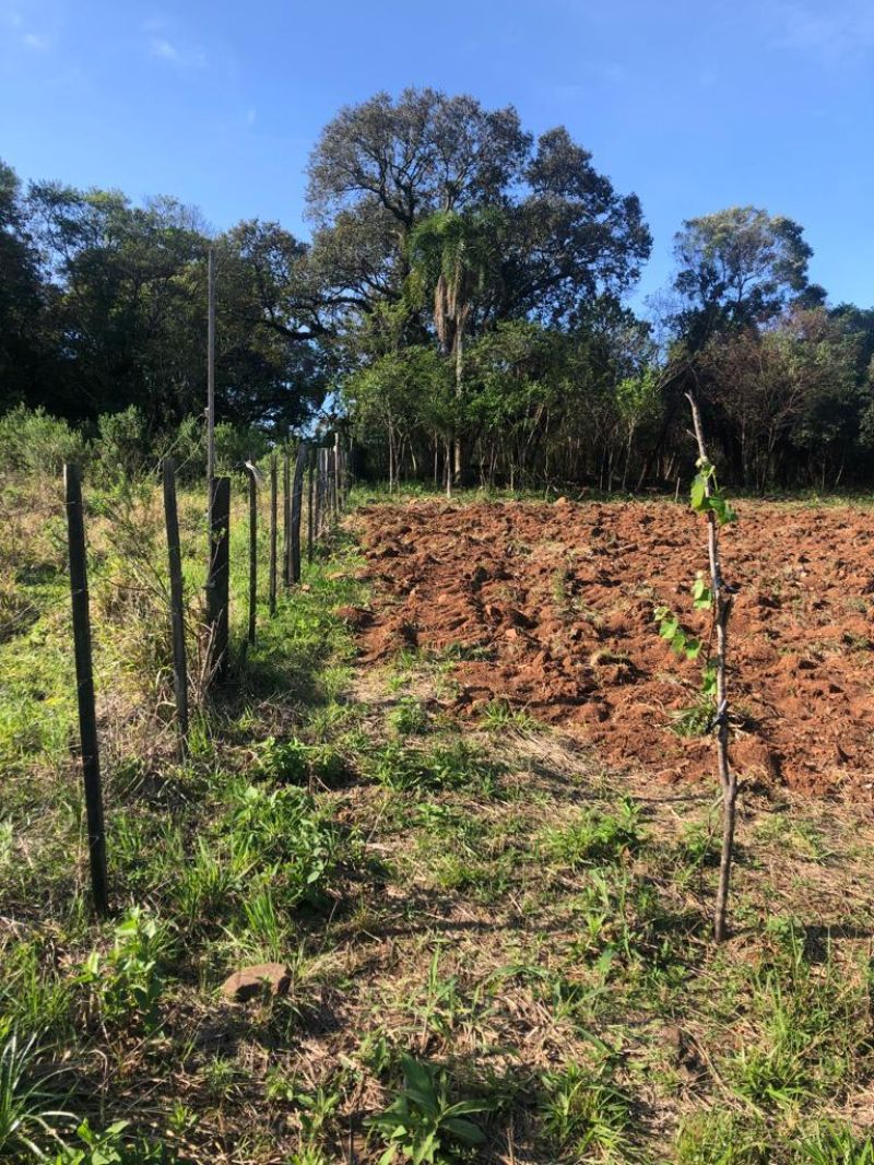 Sítio à venda no bairro Fazenda Fialho, Taquara