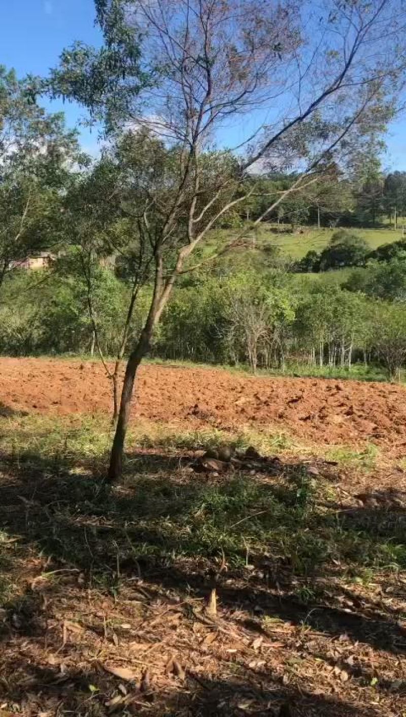 Sítio à venda no bairro Fazenda Fialho, Taquara