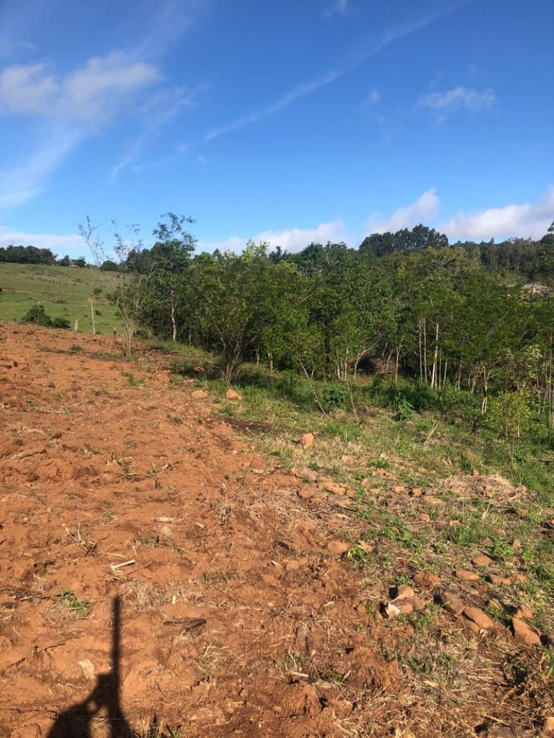 Sítio à venda no bairro Fazenda Fialho, Taquara