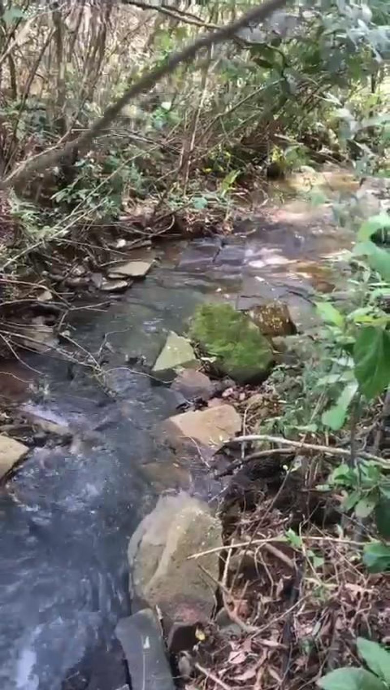 Sítio à venda no bairro Fazenda Fialho, Taquara