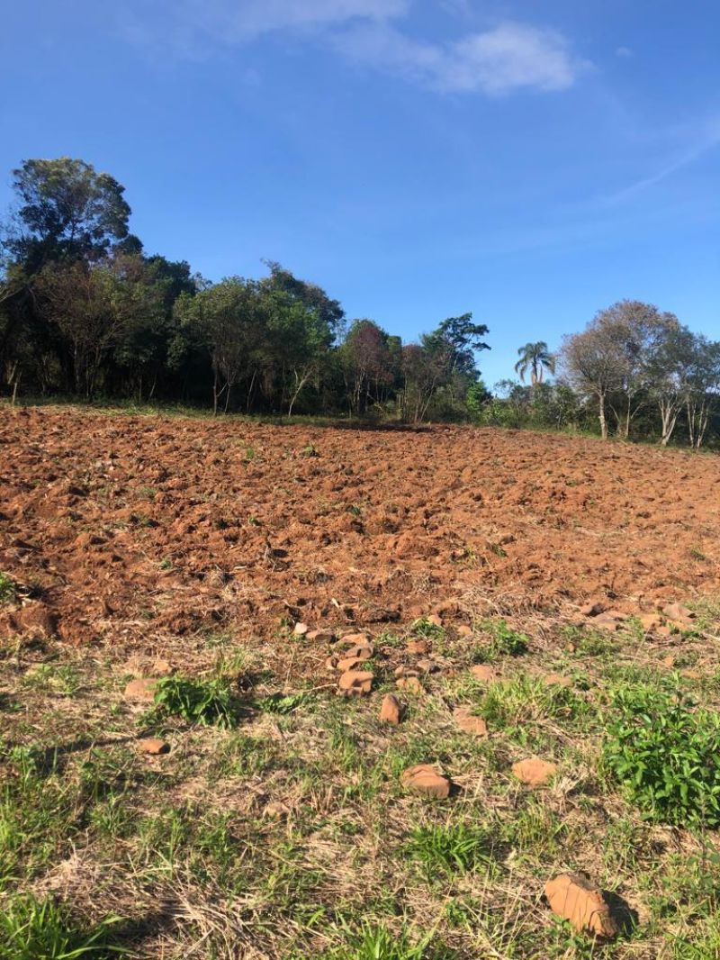 Sítio à venda no bairro Fazenda Fialho, Taquara